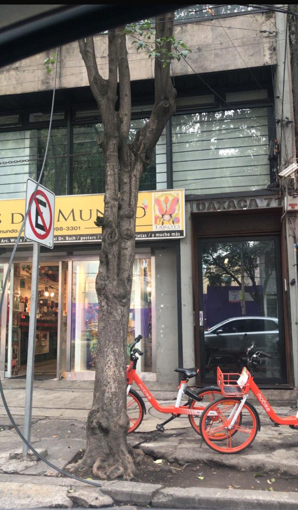 Alicia Araceli Navarro Burguete-12