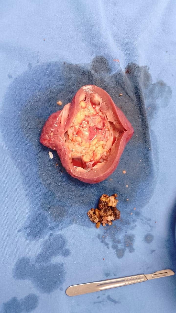 Alexis Javier García Ruiz-3