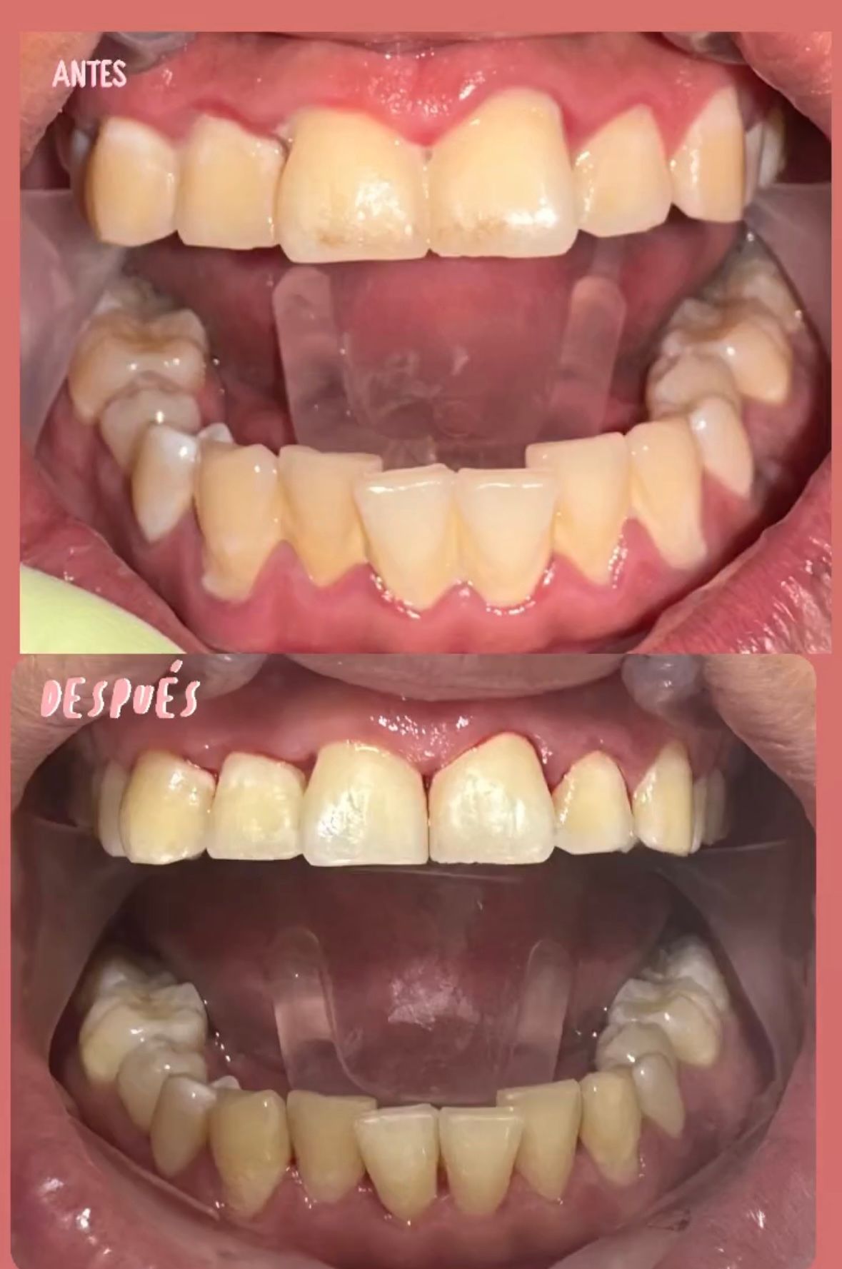 Fernanda Tovar Navarro-40