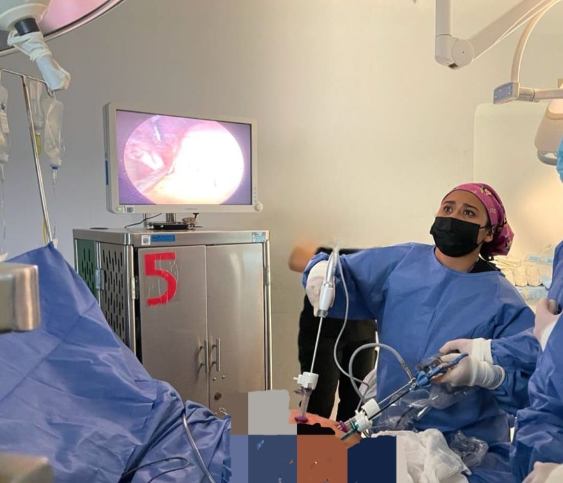 Anali Meza Gallegos-5