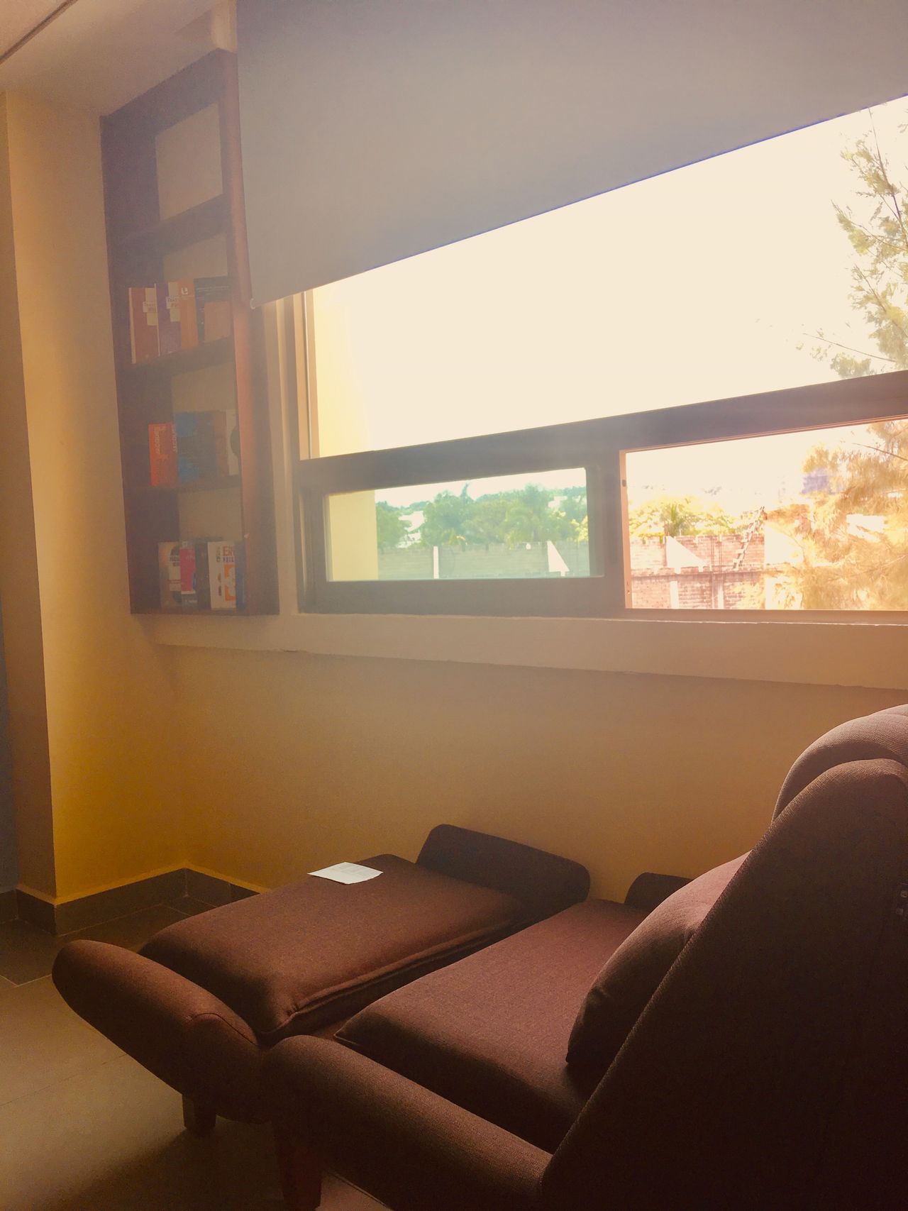 David Noriega Flores-6