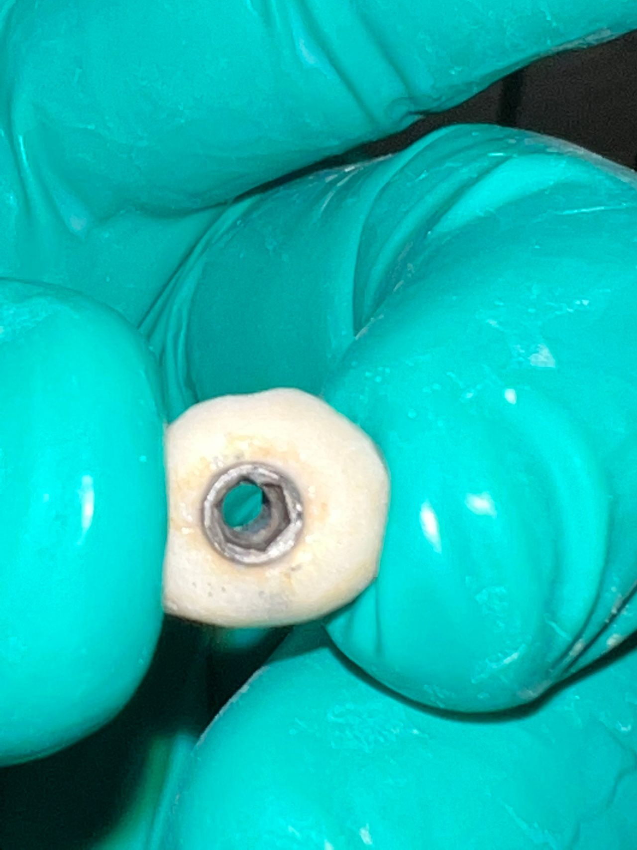 Oswaldo Sanchez Gonzalez-8