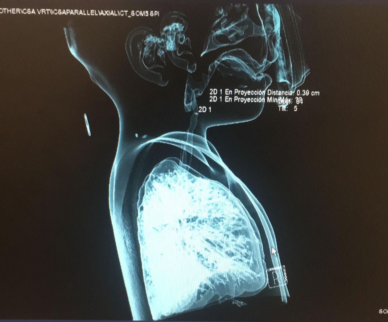 Lissette Carolina Rivas Hernández-6