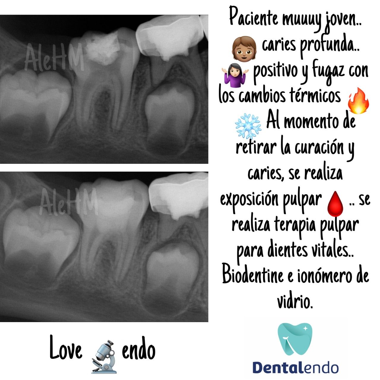 Alejandra Heredia Morán-8