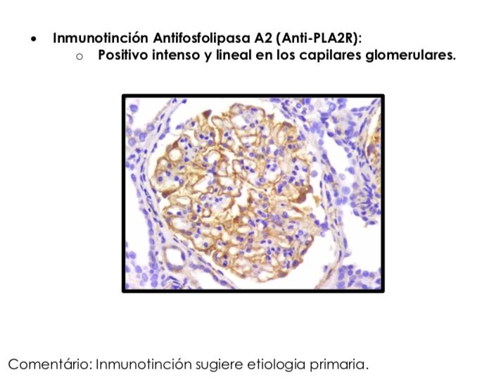 Guillermo Navarro Blackaller-12