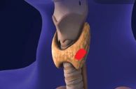 Laura Valencia Valero-2