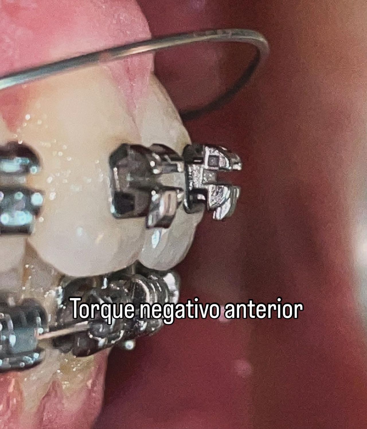 Luis Ernesto Calva Valdez-0