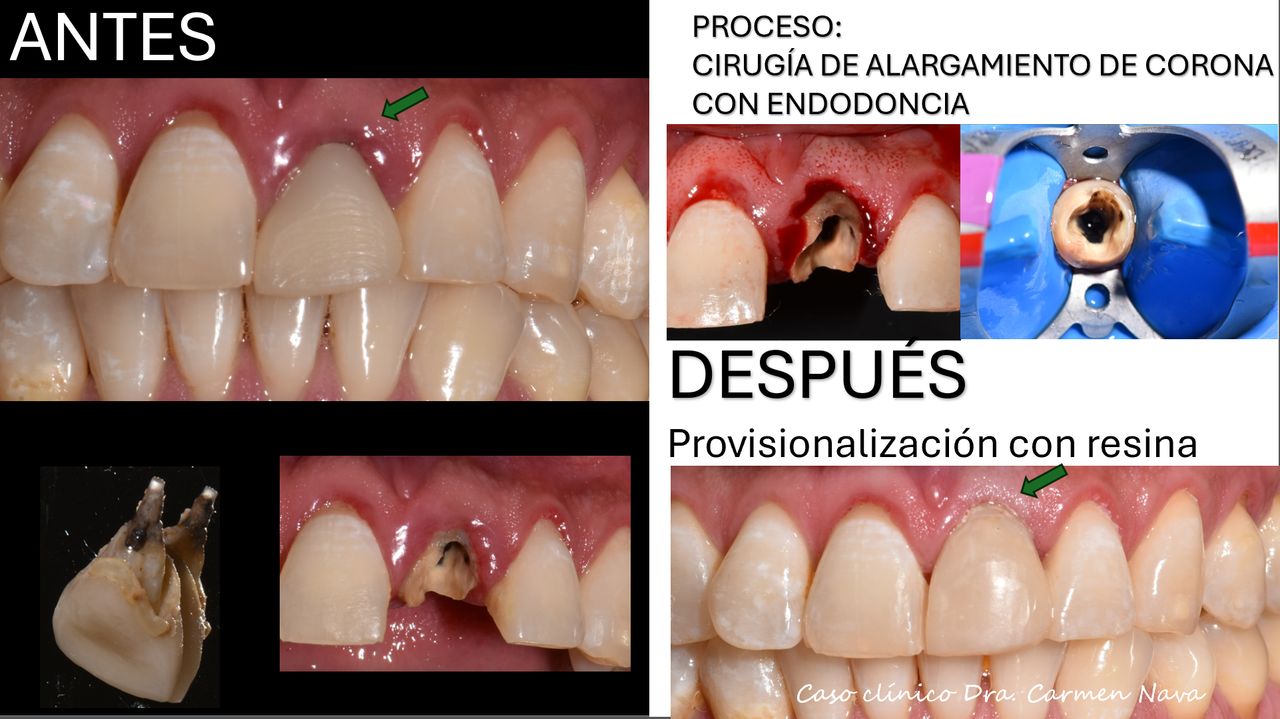 María Del Carmen Nava Jiménez-1