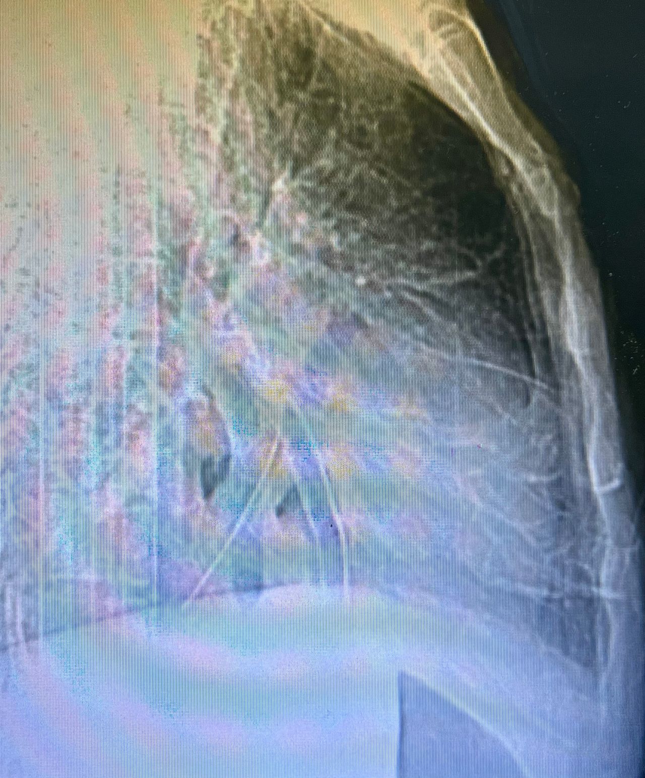 Rogelio Hernández García-91