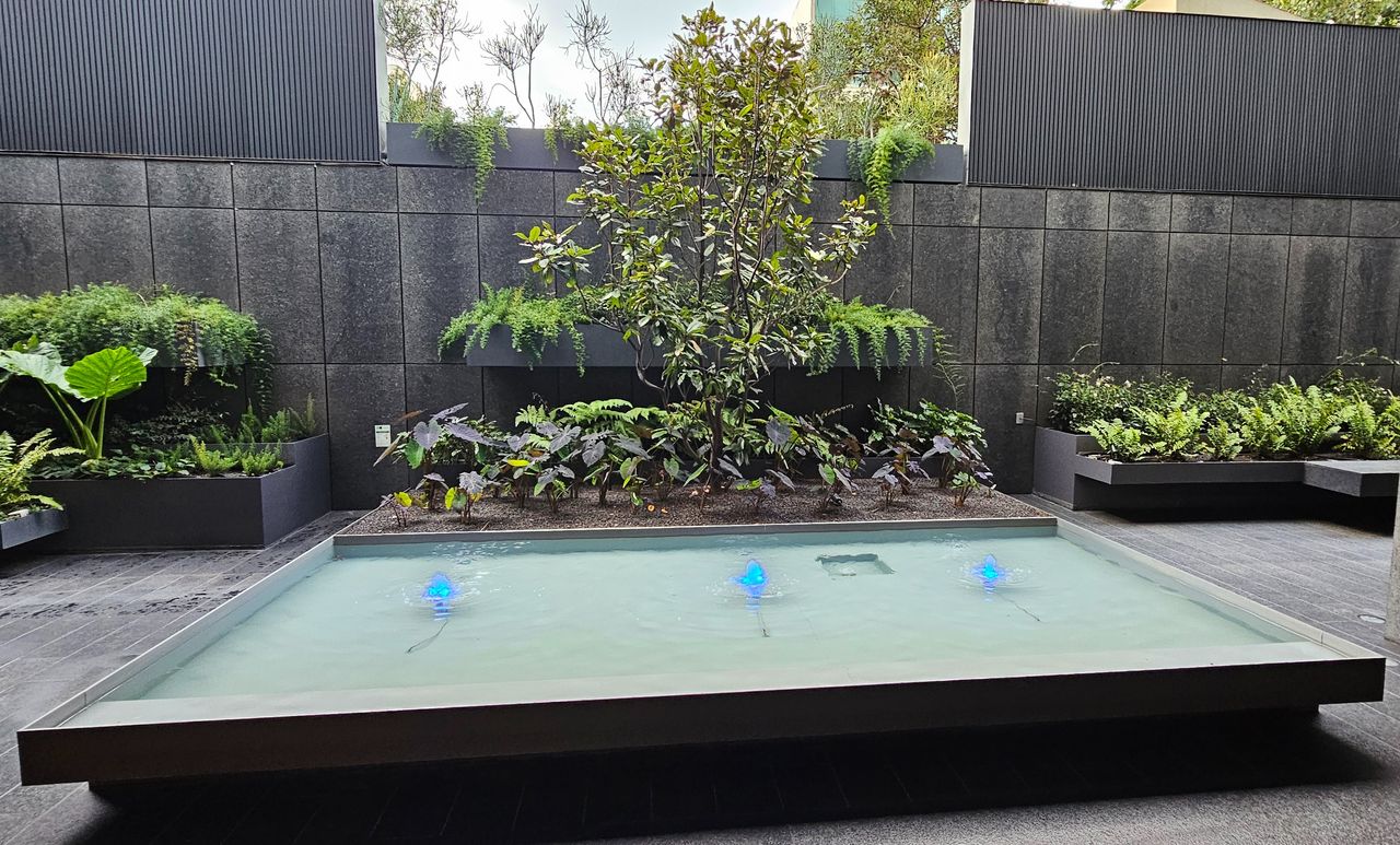 Laura Romina Carpio Martínez-7