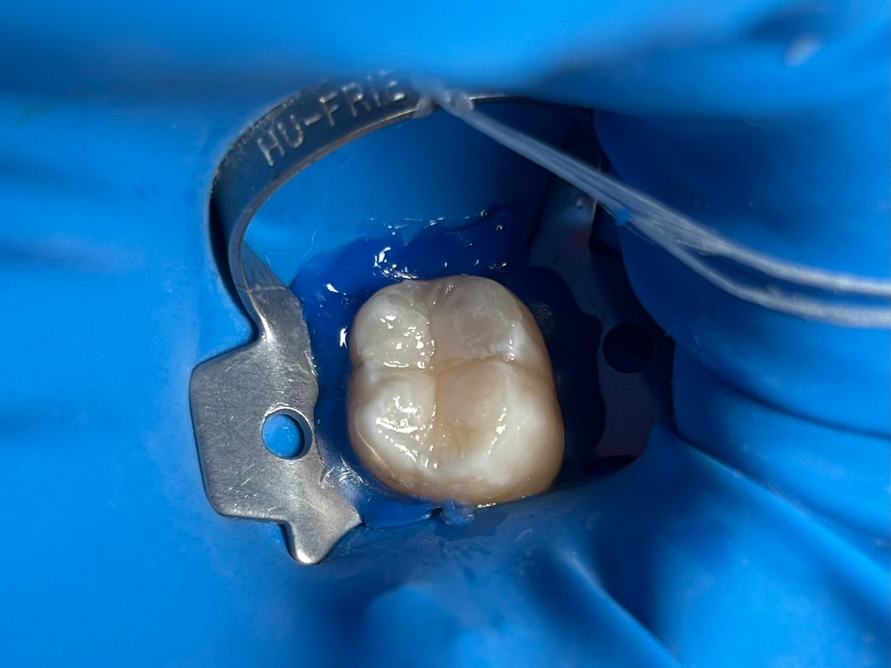 María Paula  Flores Novoa-63