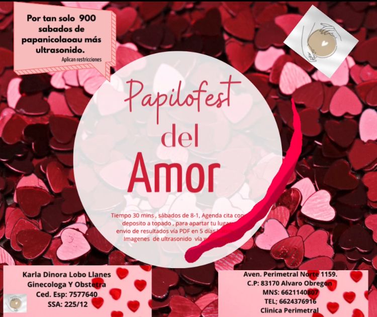 Karla Dinora Lobo Llanes-11