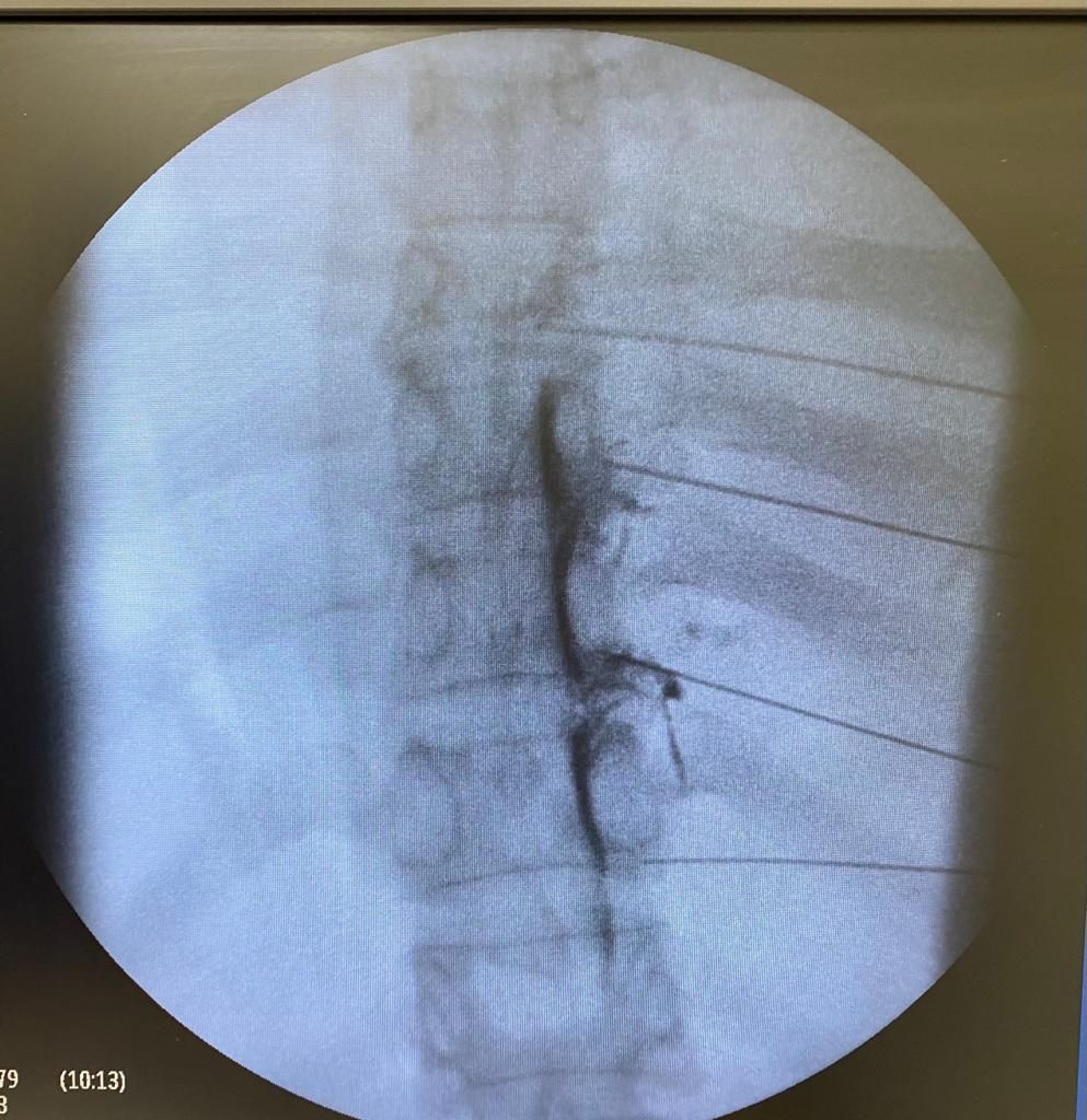 Margarita Santiago Monroy-8