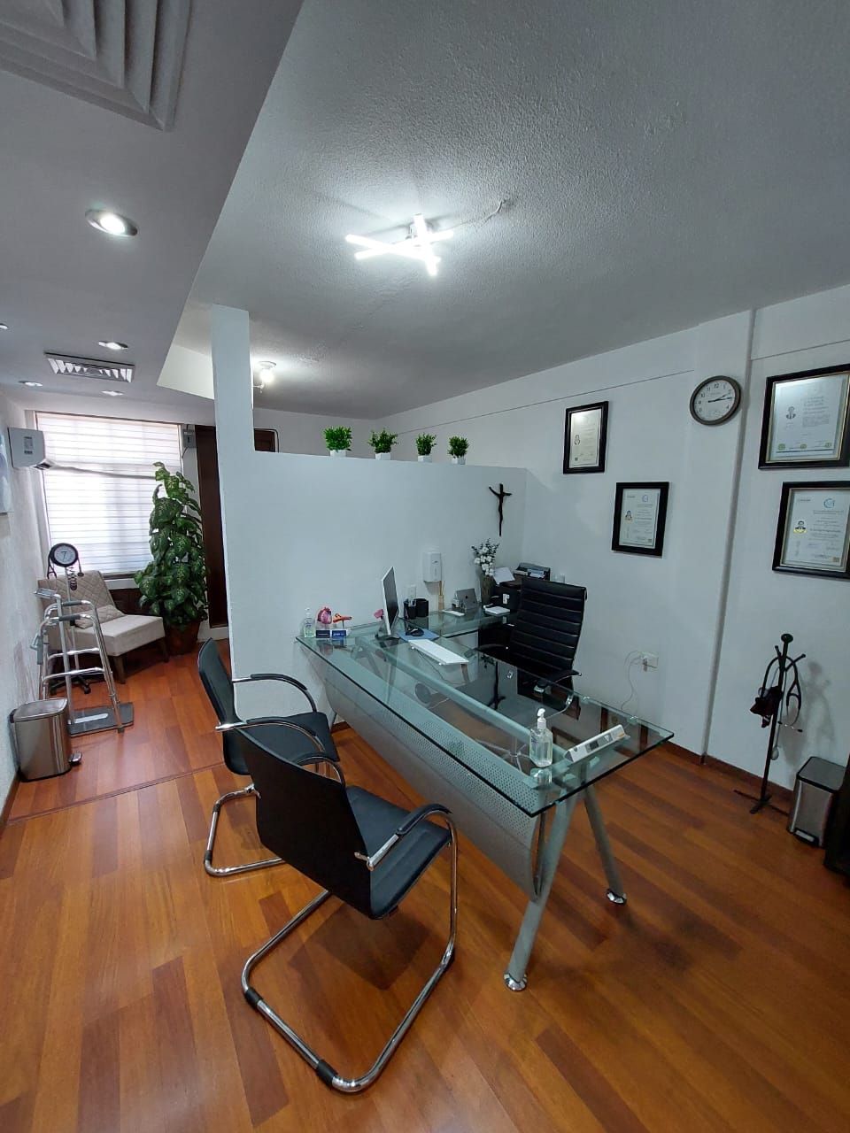 Daysi Berino Pardo-3