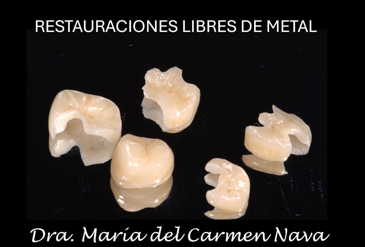 María Del Carmen Nava Jiménez-25