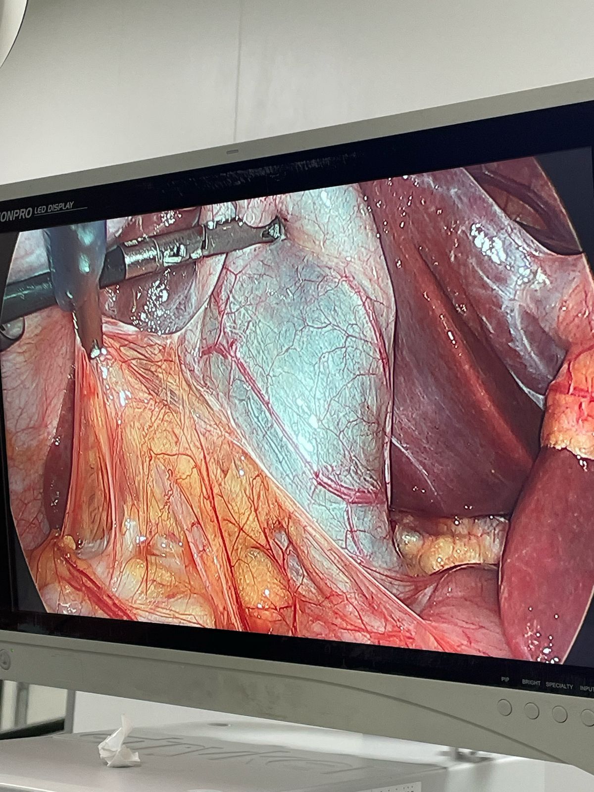 Luis E. Añorve Castro-10