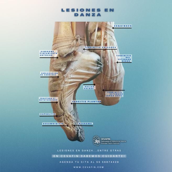 Ericka Carmona Moreno-1