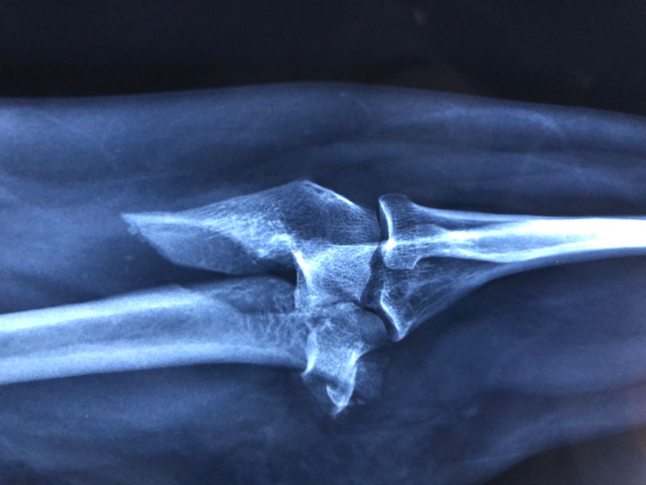 Alejandro Bayo Del Castillo-11