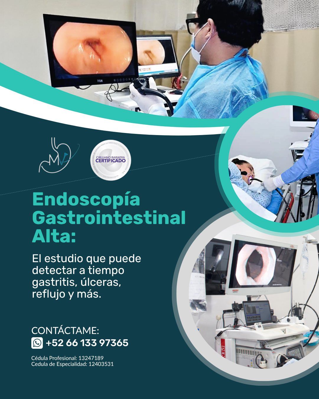 Marco Antonio Vargas Tames-1