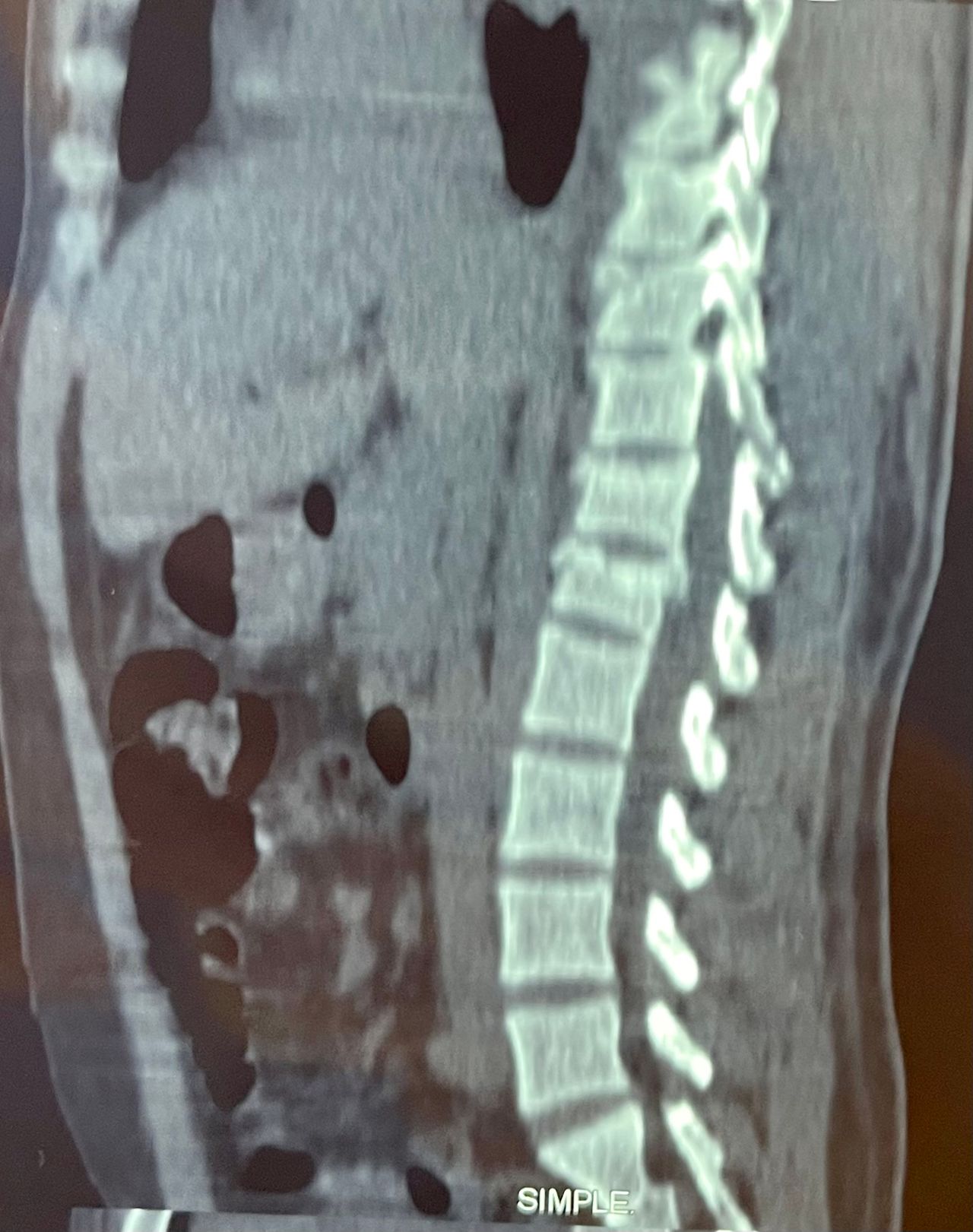 Gustavo E Ramirez Reyna-9