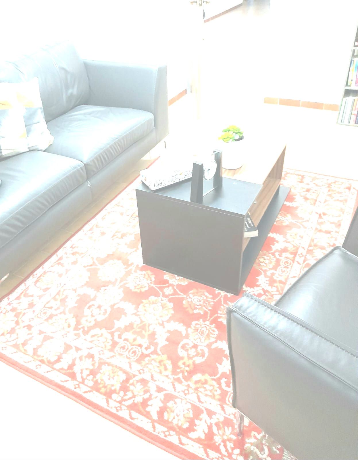 Marisol Carbajal Medrano-1