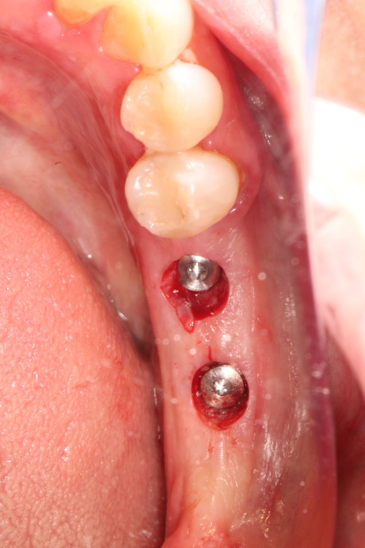 Daniela Castilla Barrera-8