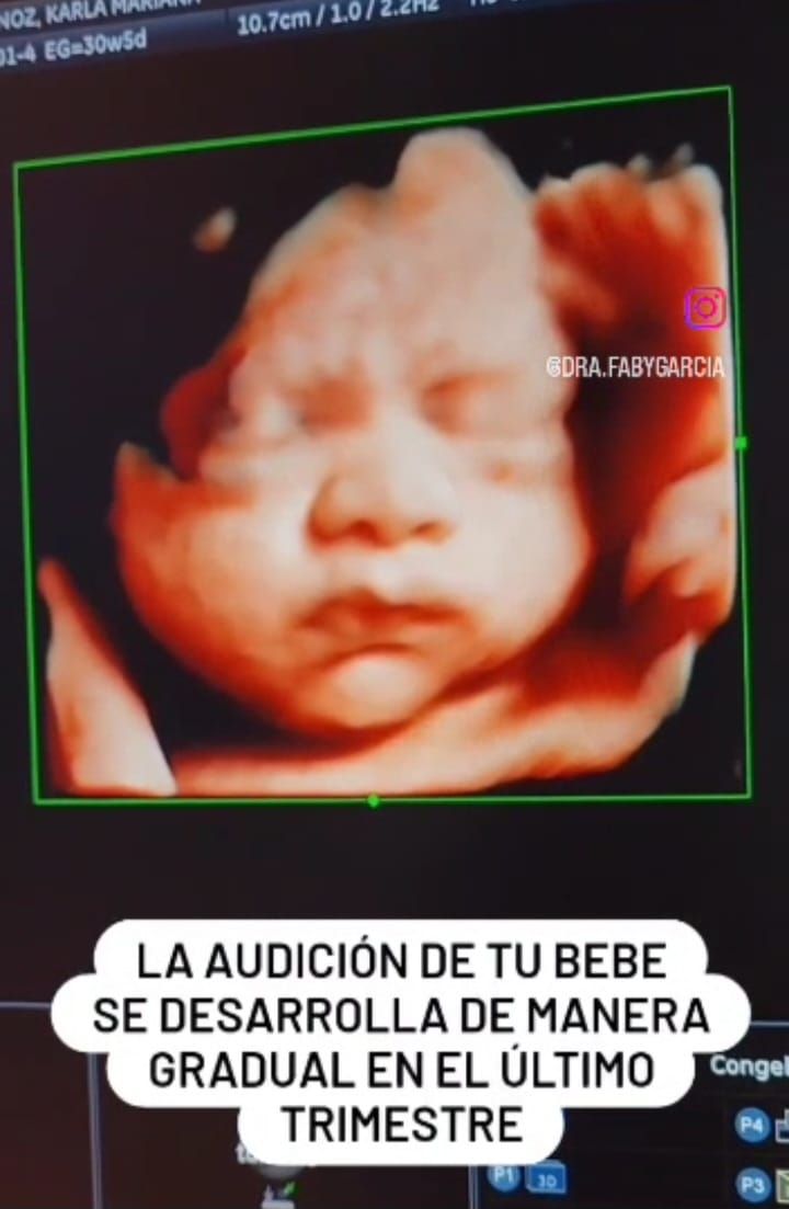 Fabiola Elizabeth Garcia Padilla-7