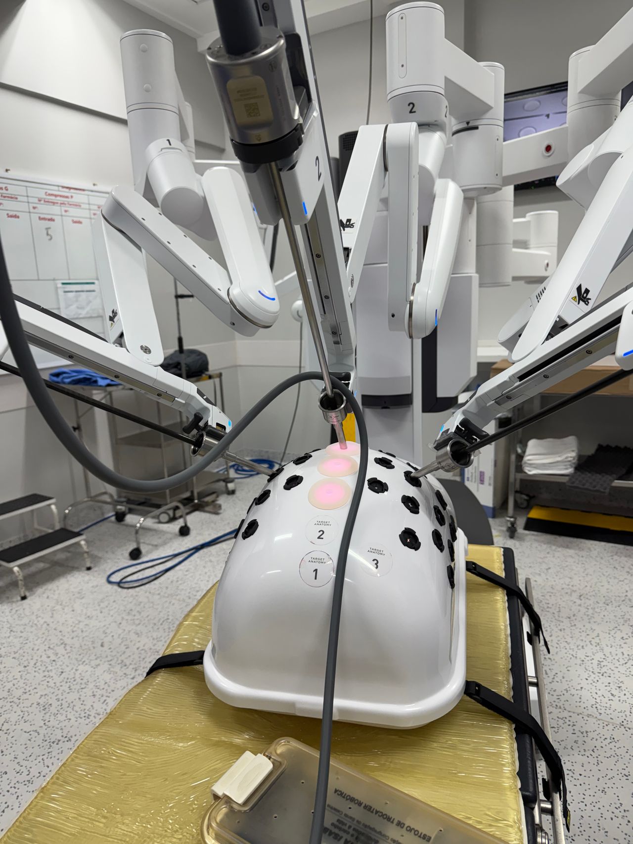 Diego Edwuin Rosales Carmona-2