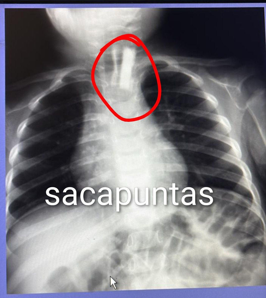 Luis Octavio Flores Romo-7