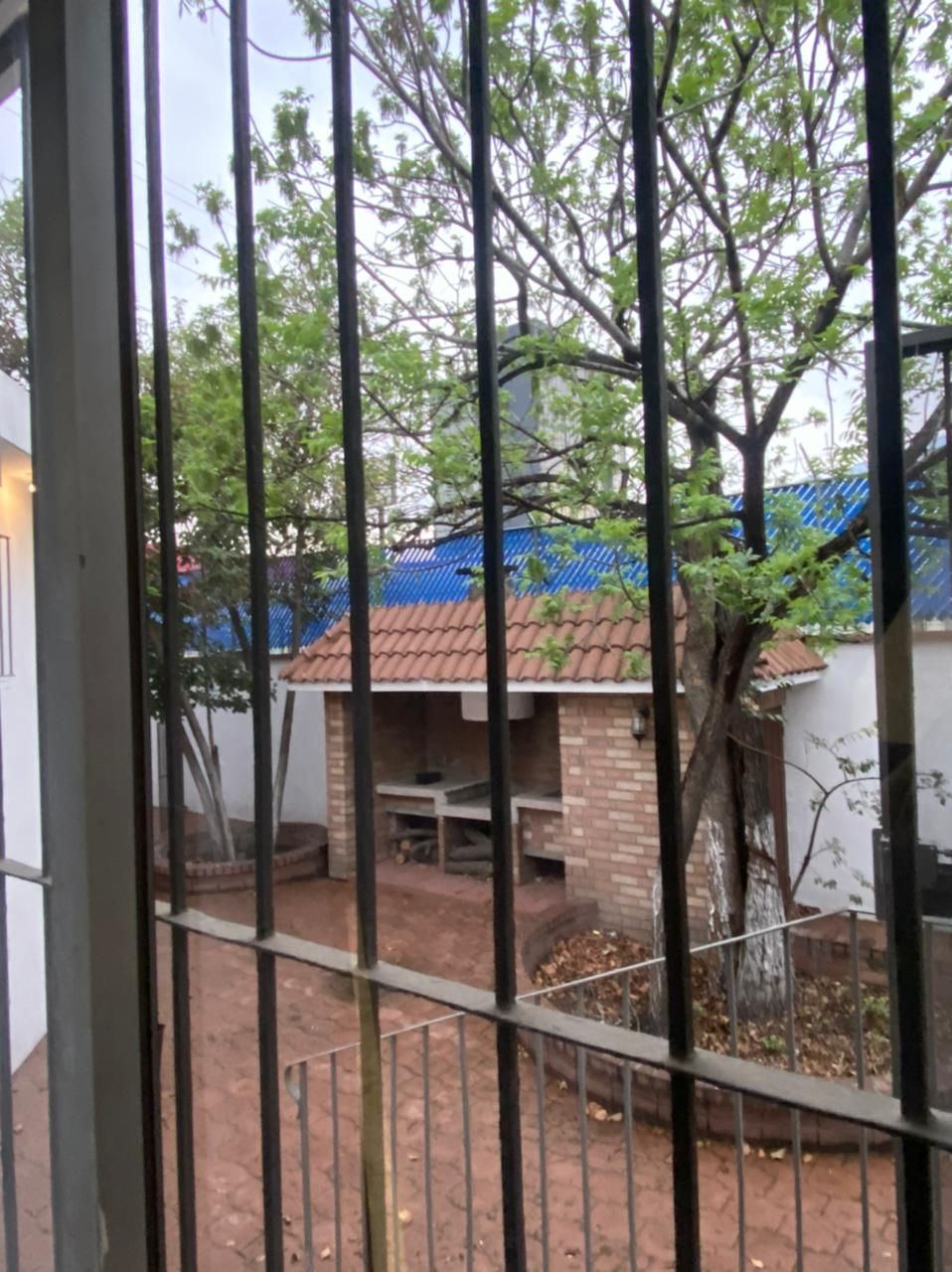 Maricruz Barraza Barraza-0