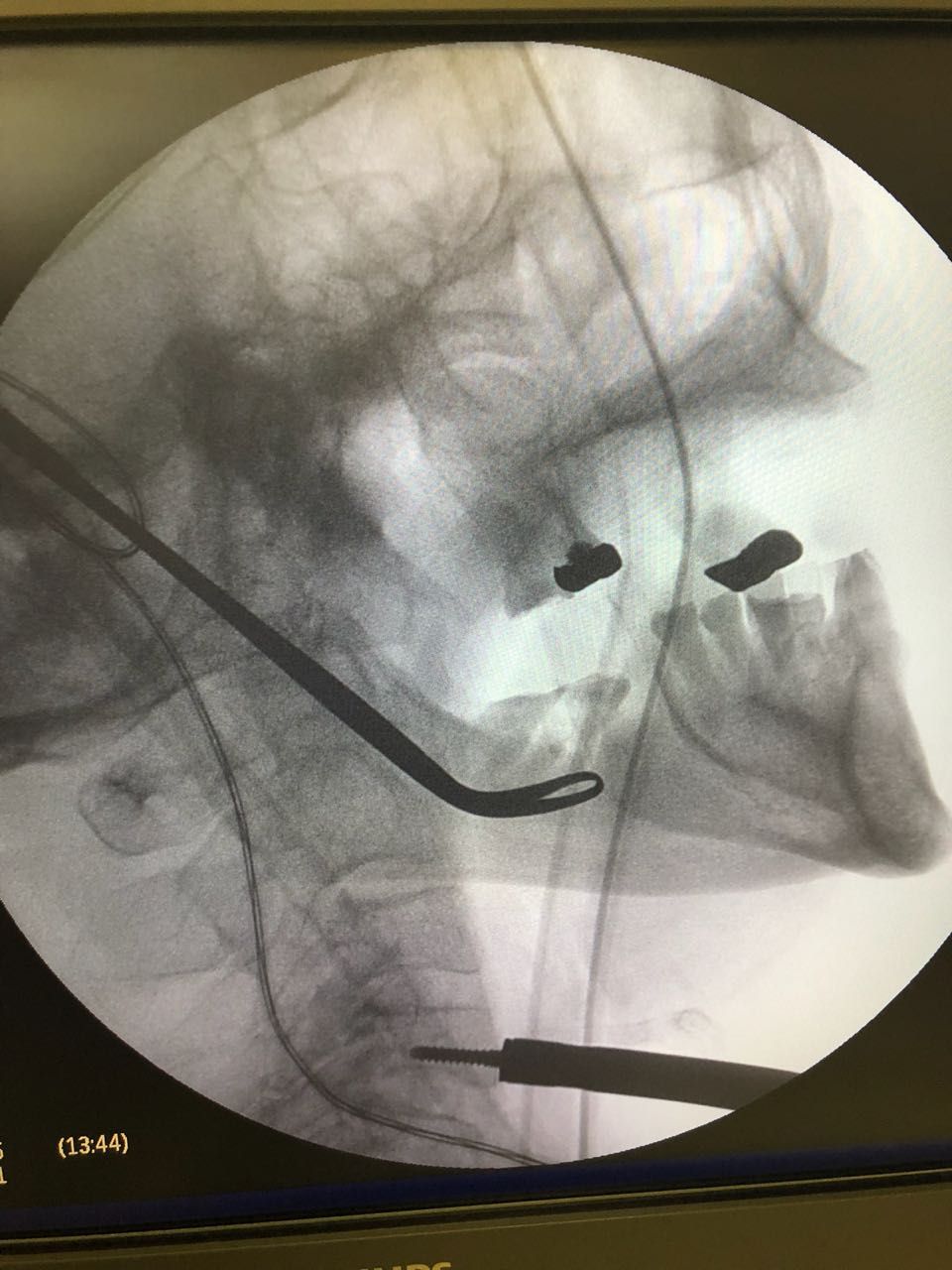 José Antonio Canales Najera-3