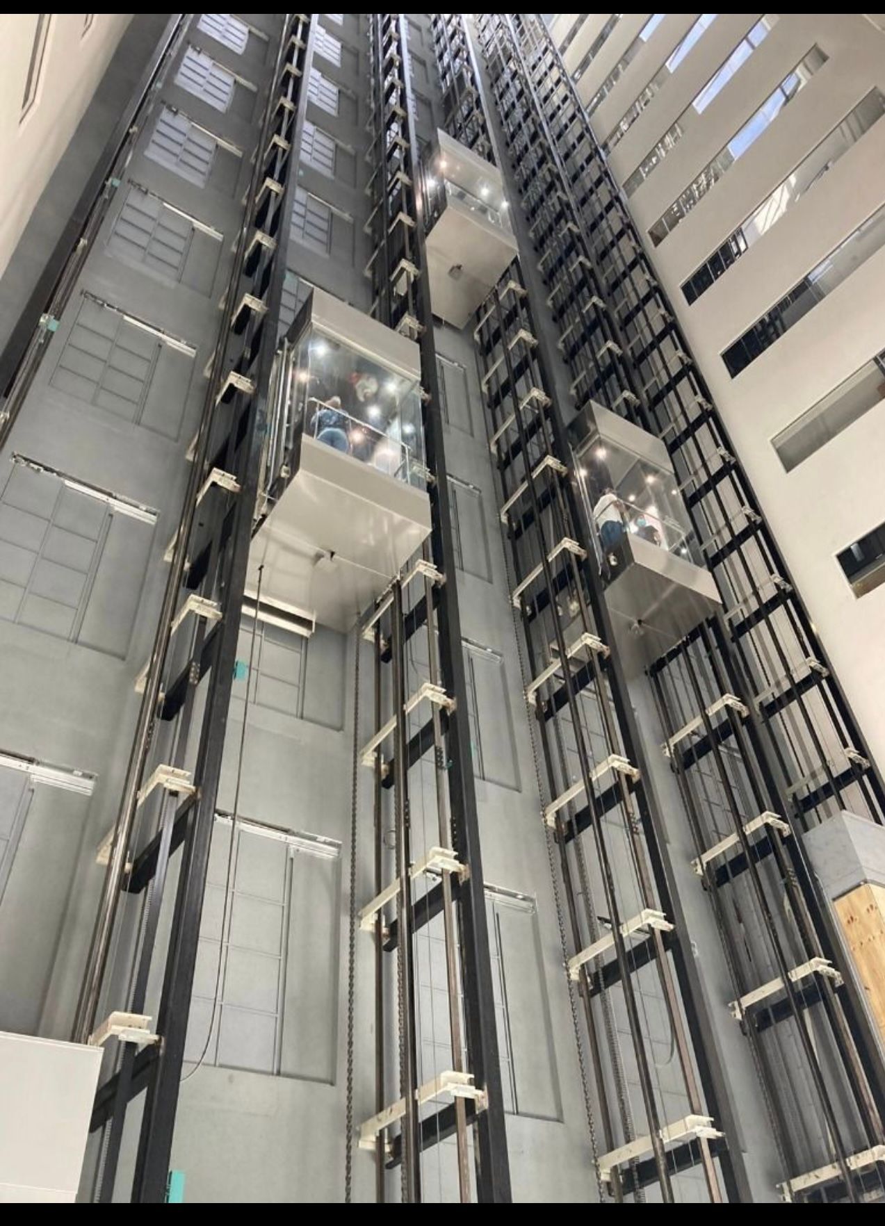 Amschell Robinsson-13