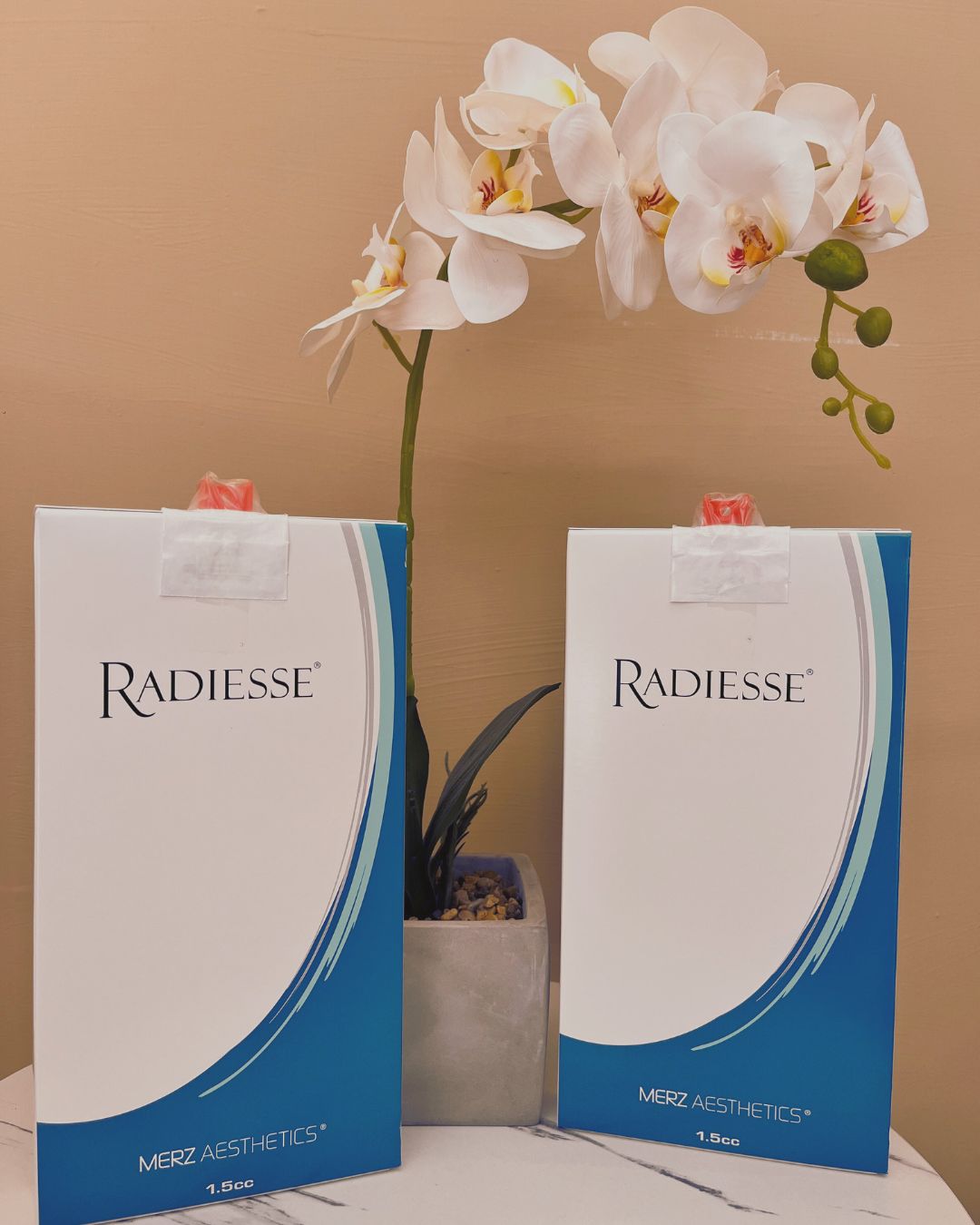 Karen Viviana Cervantes Rosales-5