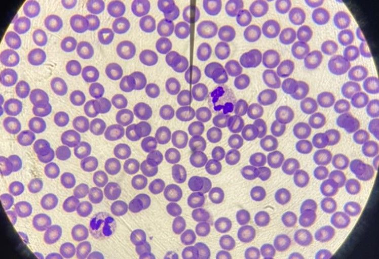 Andrea Mirelly López Flores-3