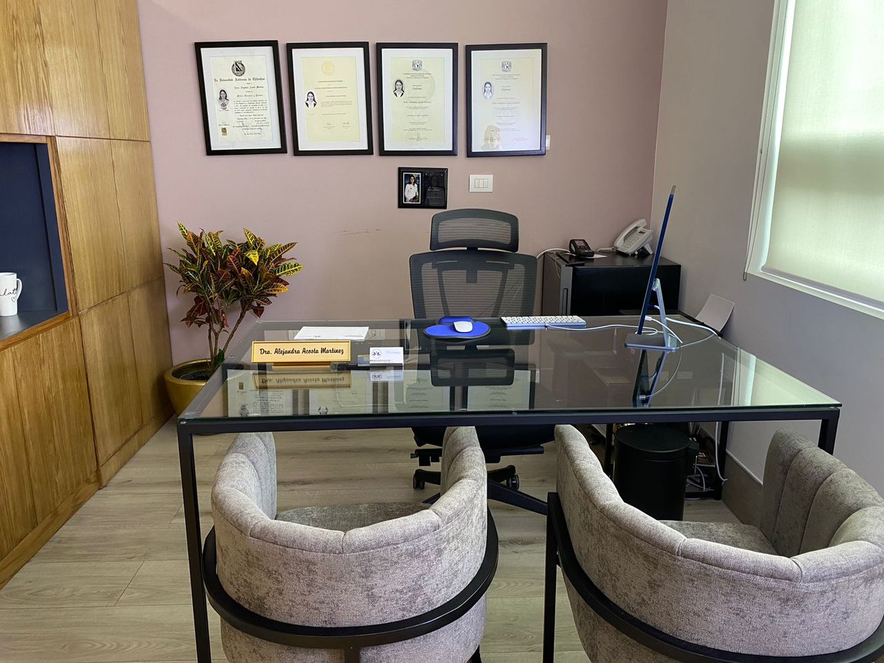 Alejandra Acosta Martinez-7