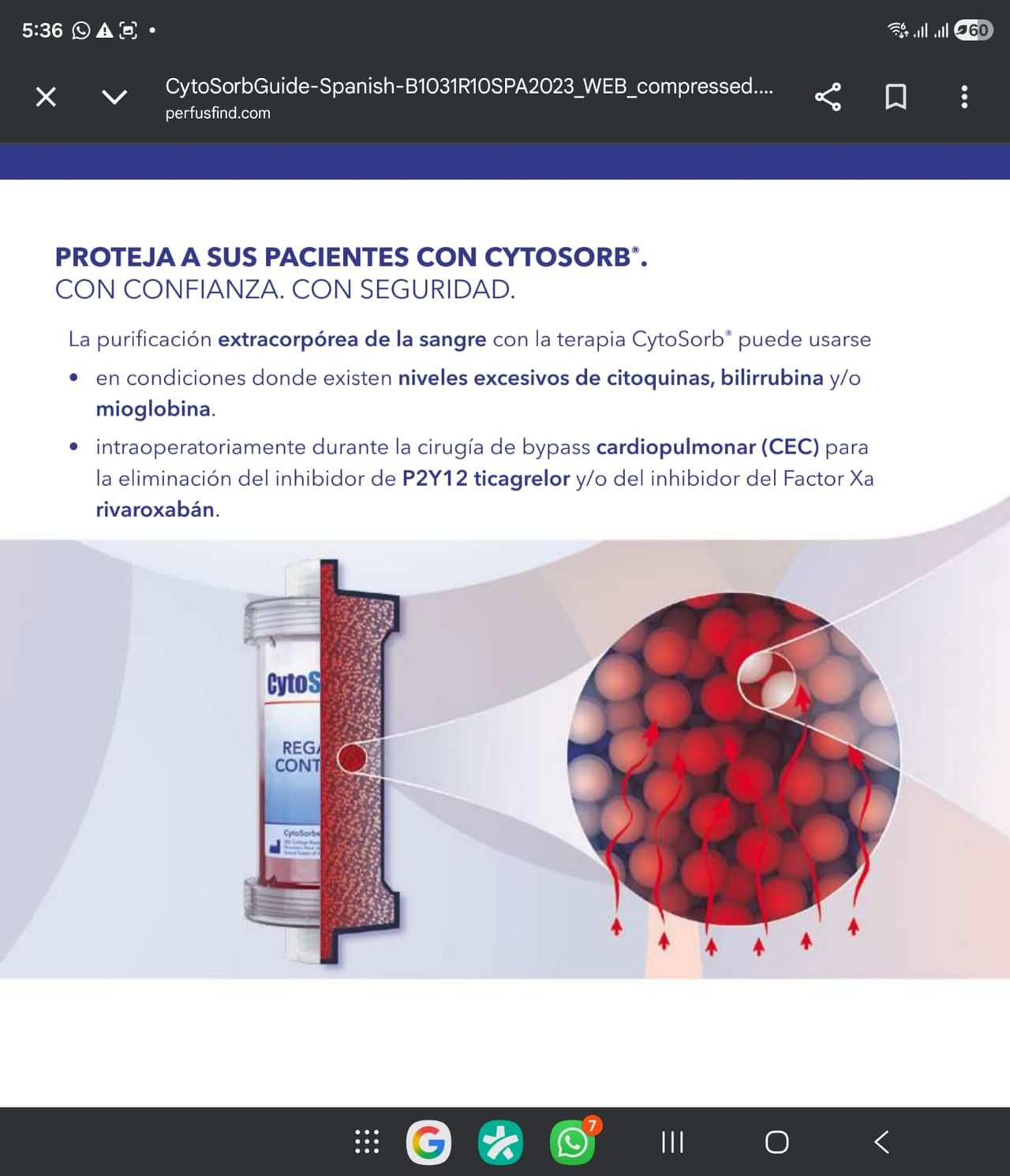 Renato Alberto Domínguez Briones-51