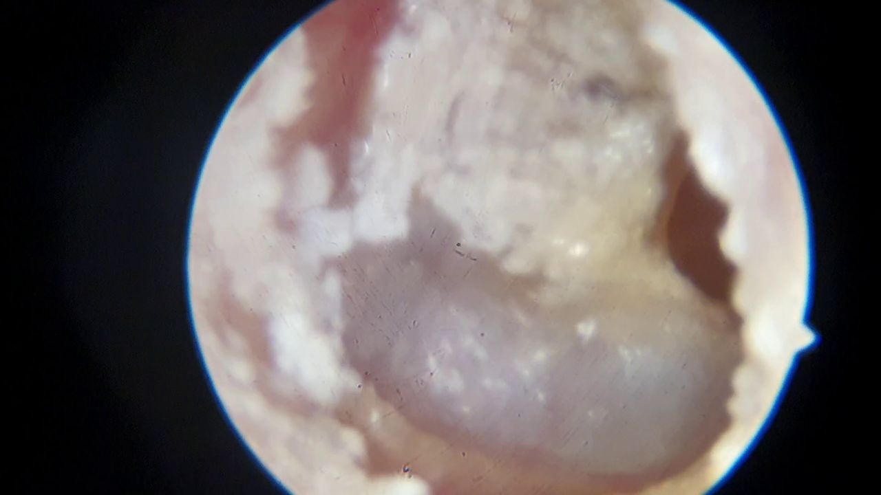 Rogelio Chavolla González-3