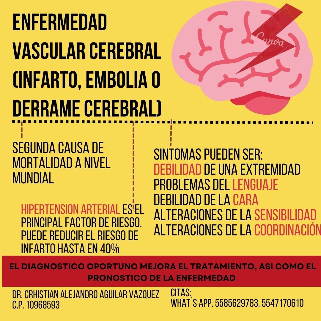 Crhistian Alejandro Aguilar Vázquez-12