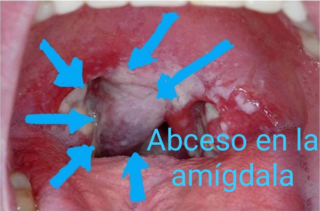 María Antonieta Vázquez Bojórquez-5