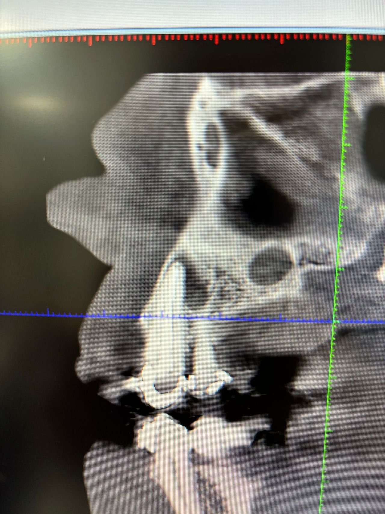 Juan Angel Cruz Rodríguez-8