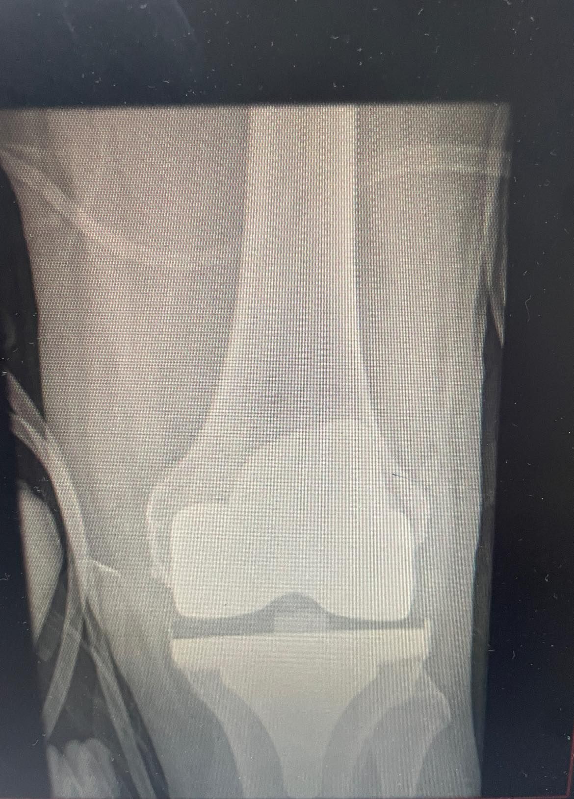 Felix Alfaro Arias-42