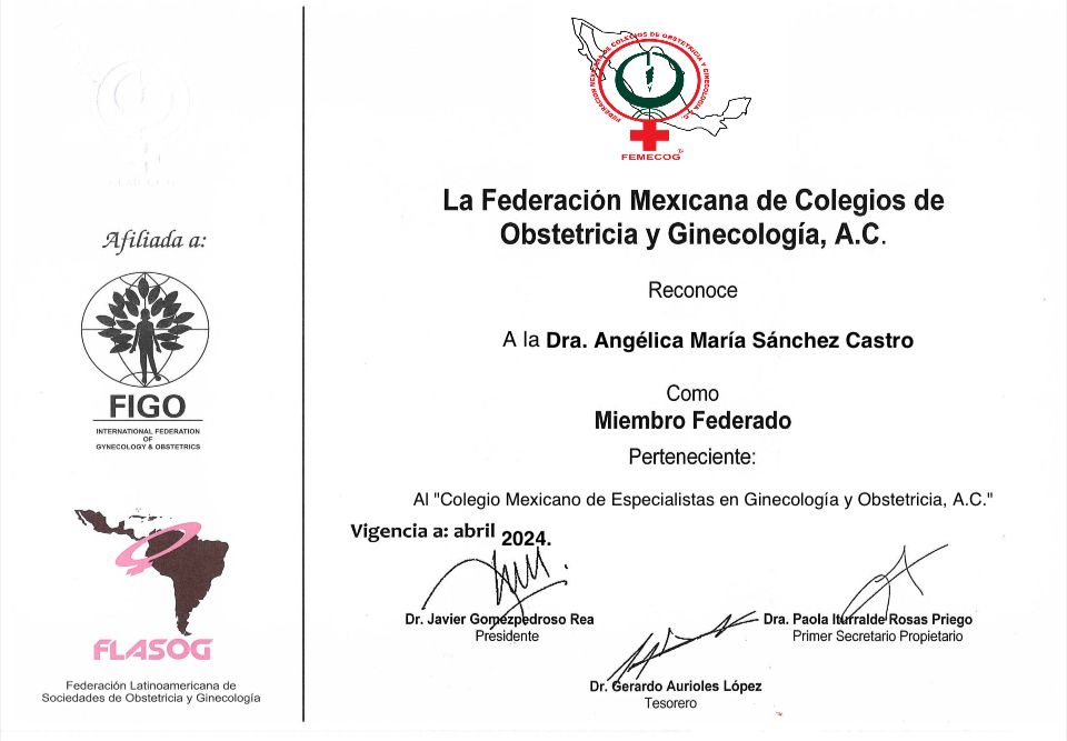 Angélica Ma. Sánchez Castro-6