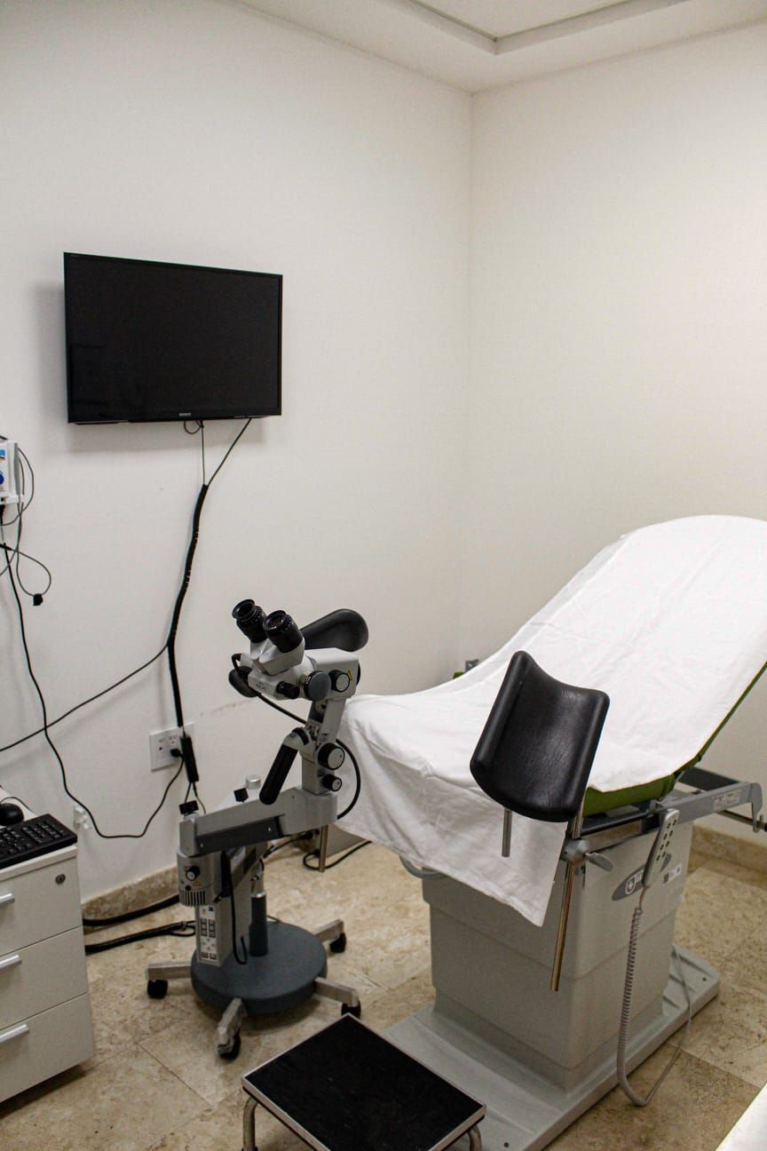 Francisco Navarrete Iriarte-2