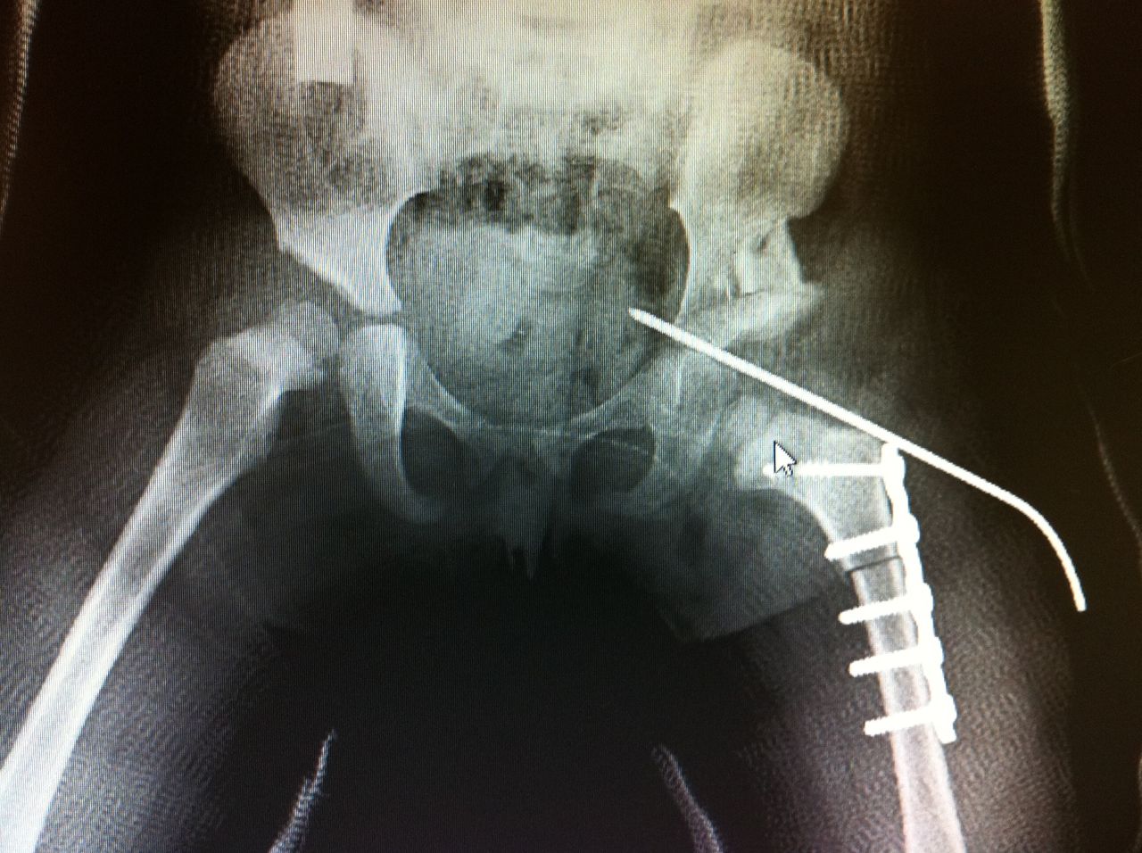 José Gerardo Pastrana Ramírez-10