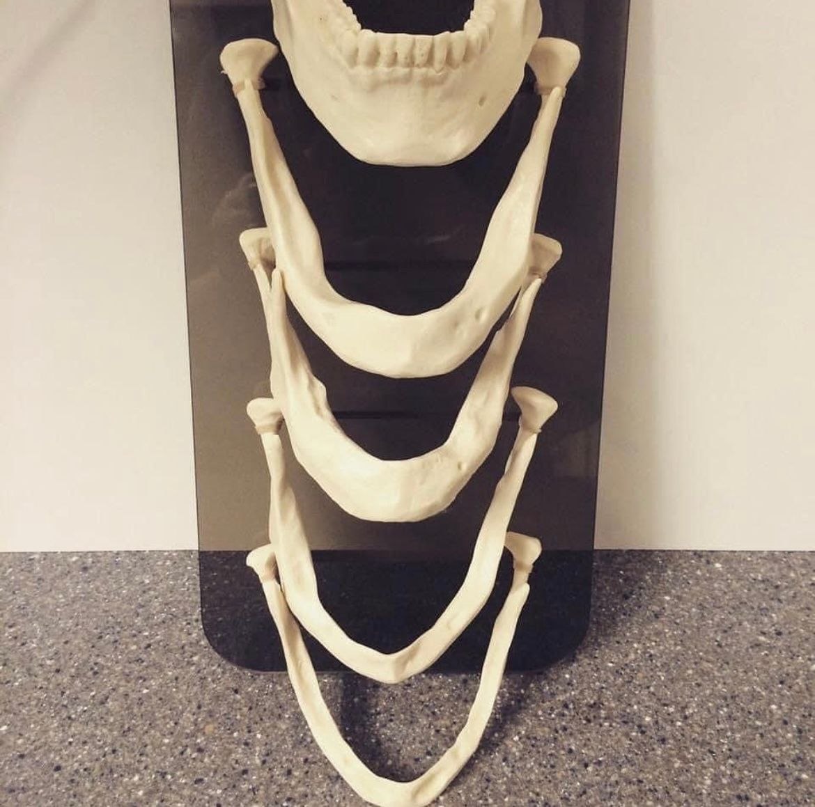 Esmeralda Candida Guerrero Pimentel-30