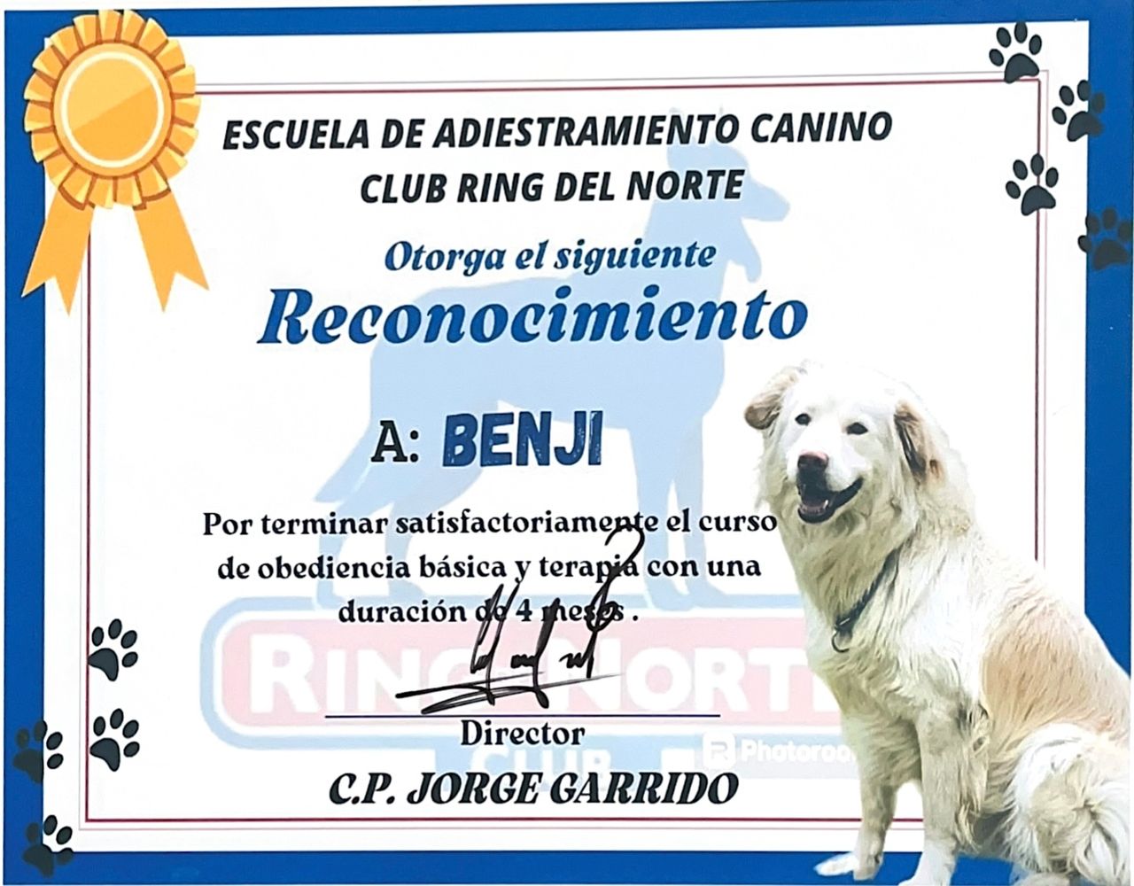 Tamara Yazmín Hernández López-4