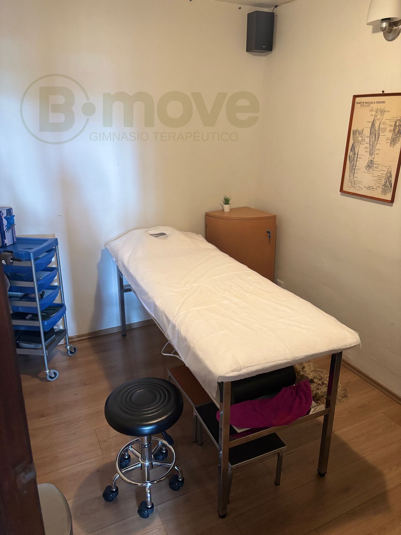 Diego Barrera Acosta-2