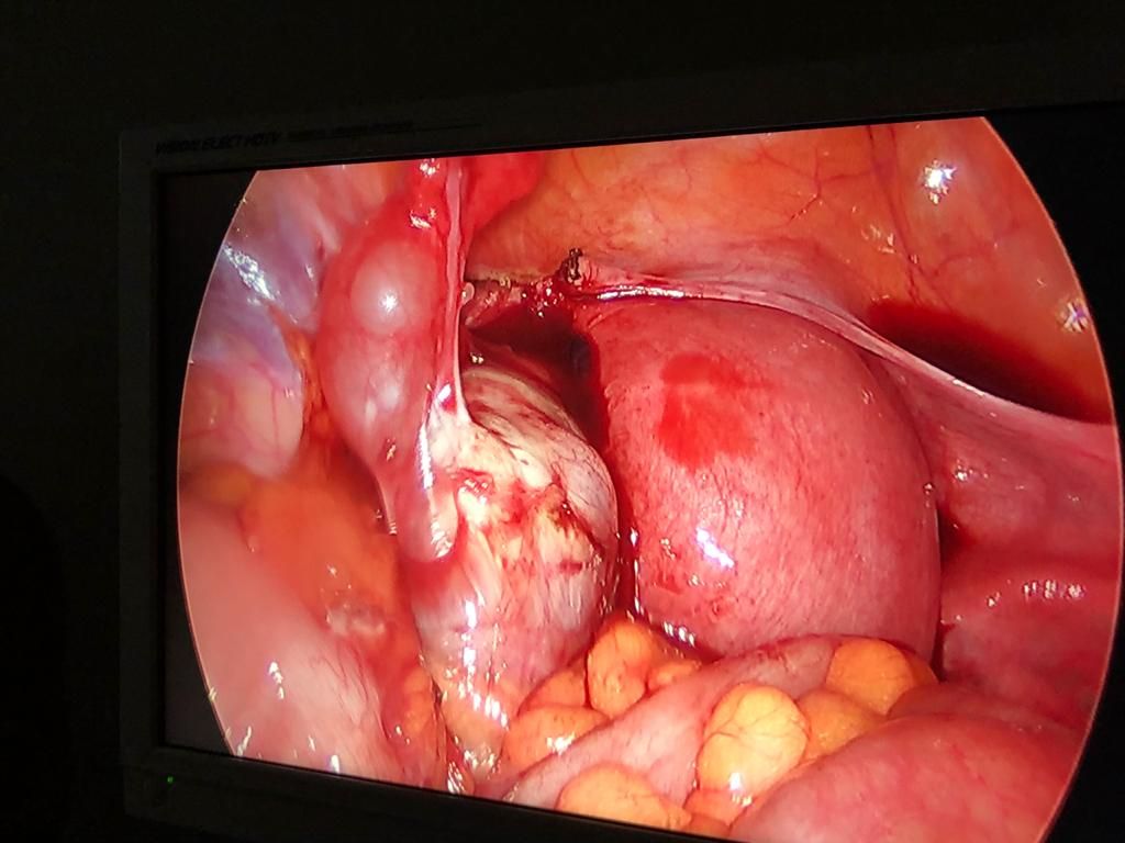 Cristina Ortiz Díaz-3