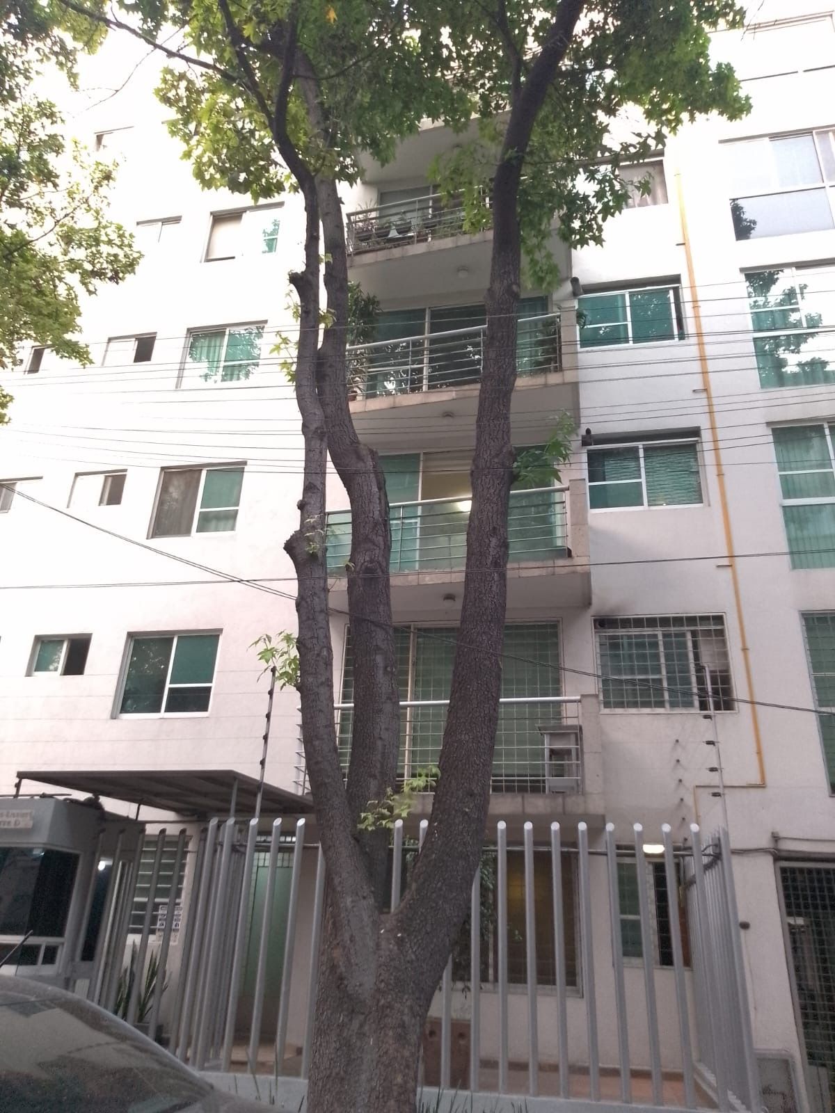 Margarita Jonguitud Vázquez-7