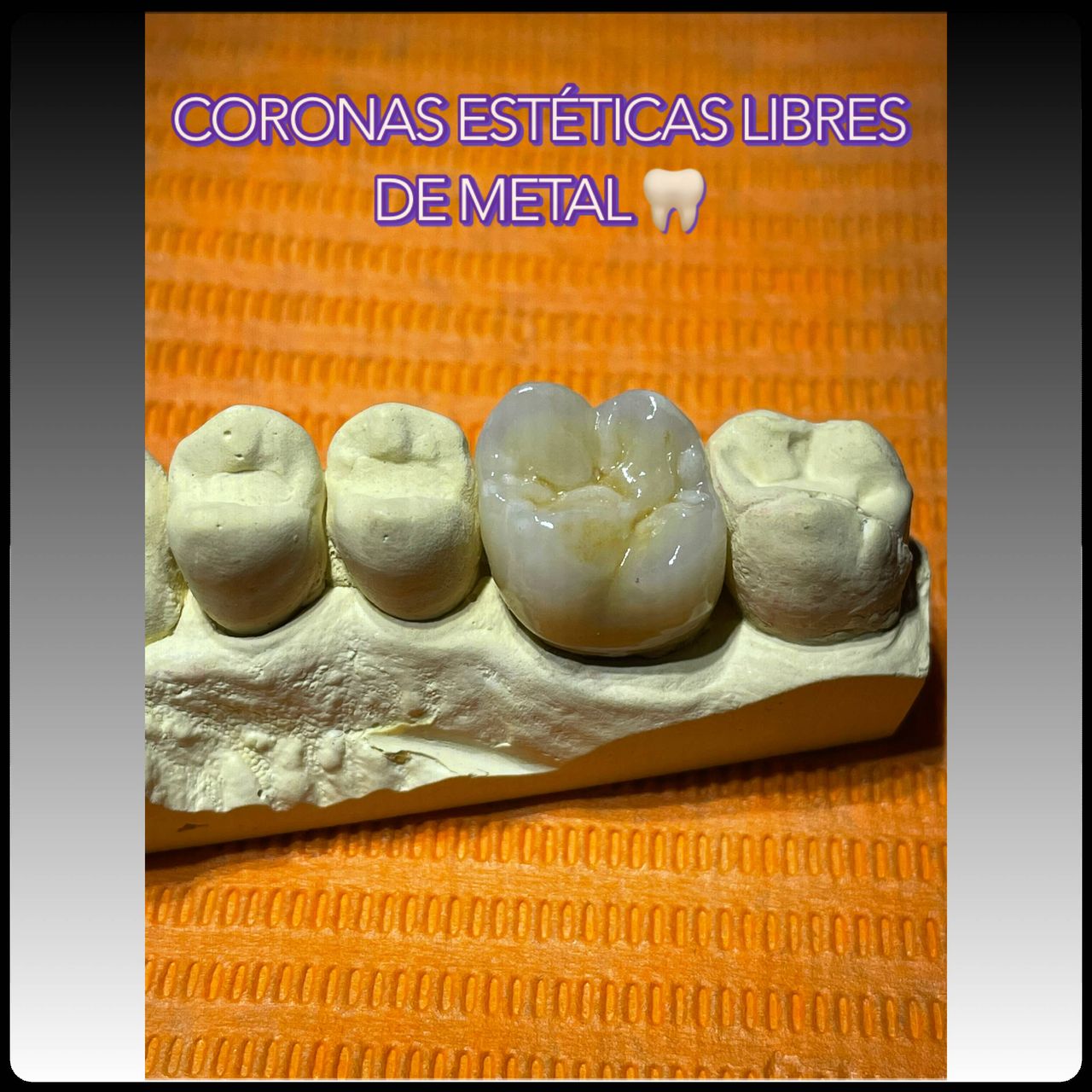 Rocío Gomez Castillo-14